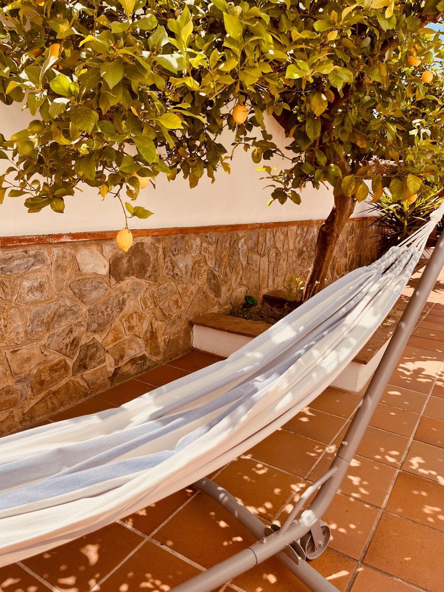 Casa Limon, Boutique Bed And Breakfast, Adults Only Alhaurín el Grande Exterior photo